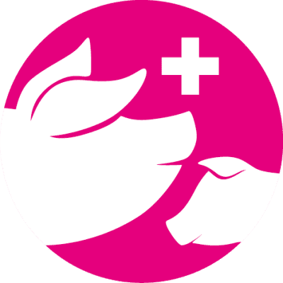 Mitarbeiter: in Sekretariat 80-100% (m, w, d)