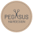 PEGASUS Hairdesign