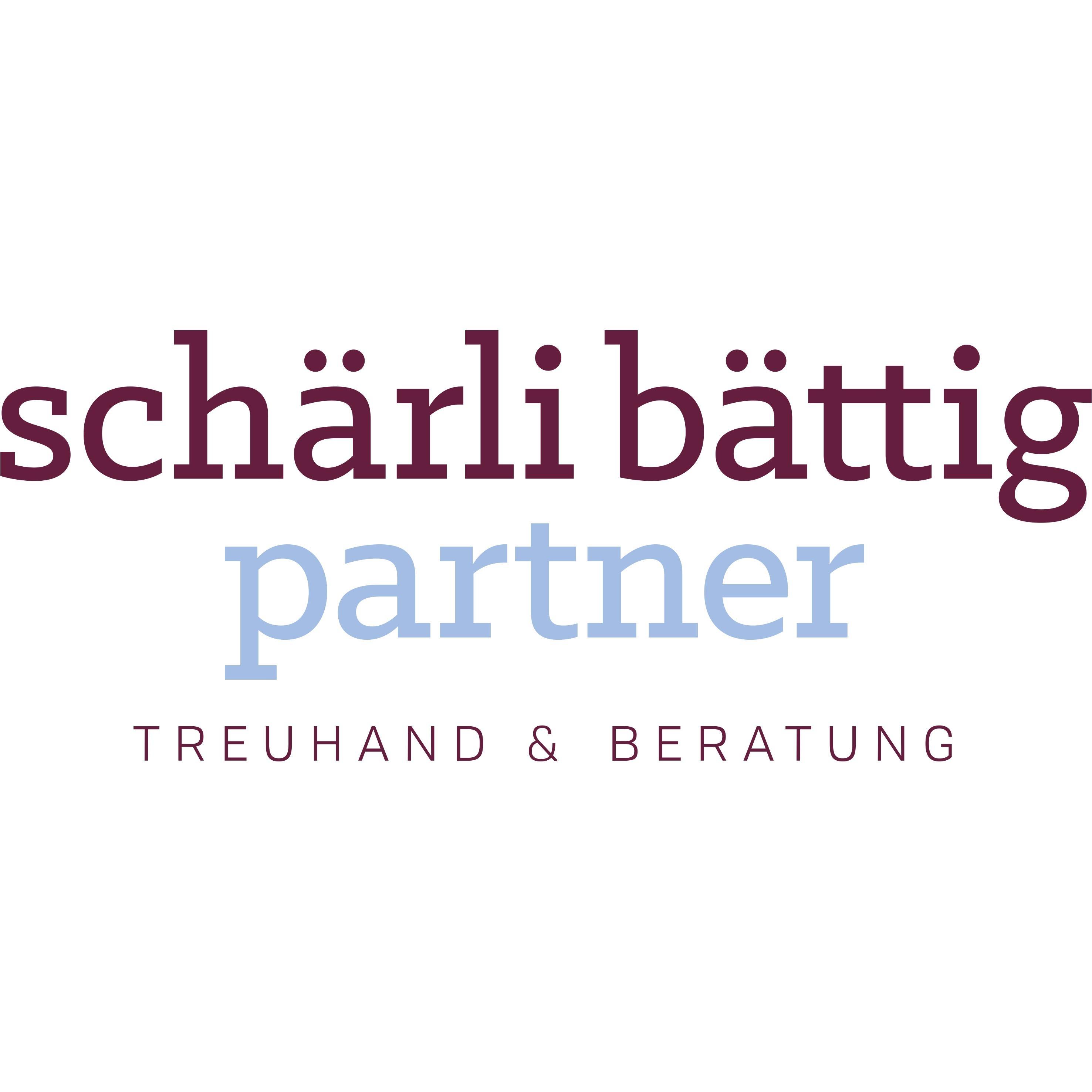 Leiter:in Finanzen mit Treuhandverantwortung 80-100%