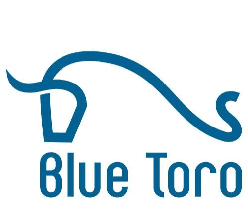 Blue Toro Bautenschutz AG