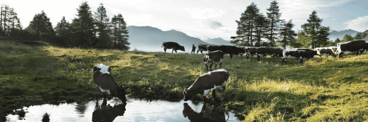 Travailler chez Centravo AG