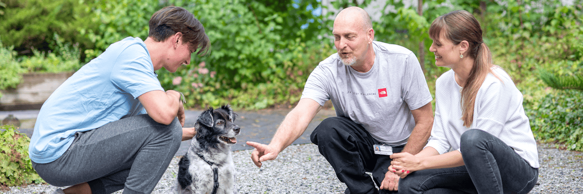 Arbeiten bei Psychiatrische Dienste Aargau AG
