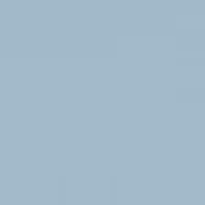 Automobil-Mechatroniker EFZ / Automobil-Fachmann EFZ