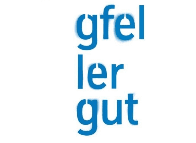 Sozialpädagogisches Zentrum Gfellergut