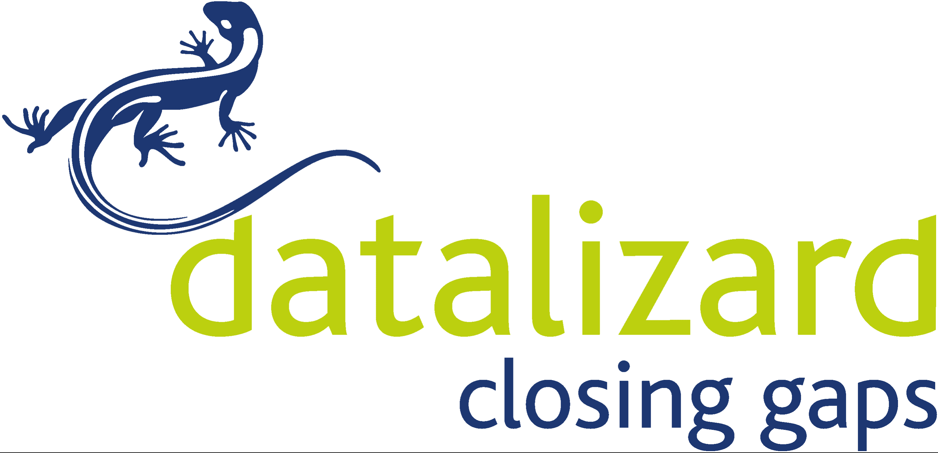 Datalizard AG