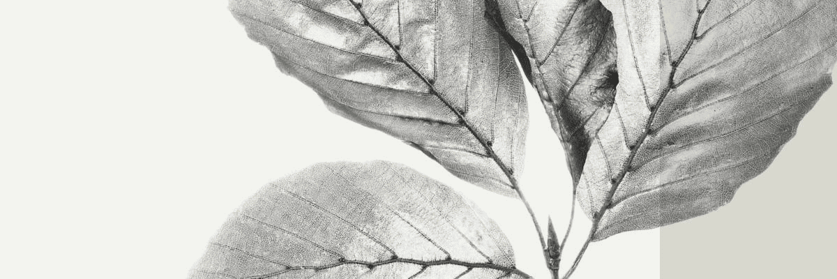 Travailler chez Bank CIC (Schweiz) AG