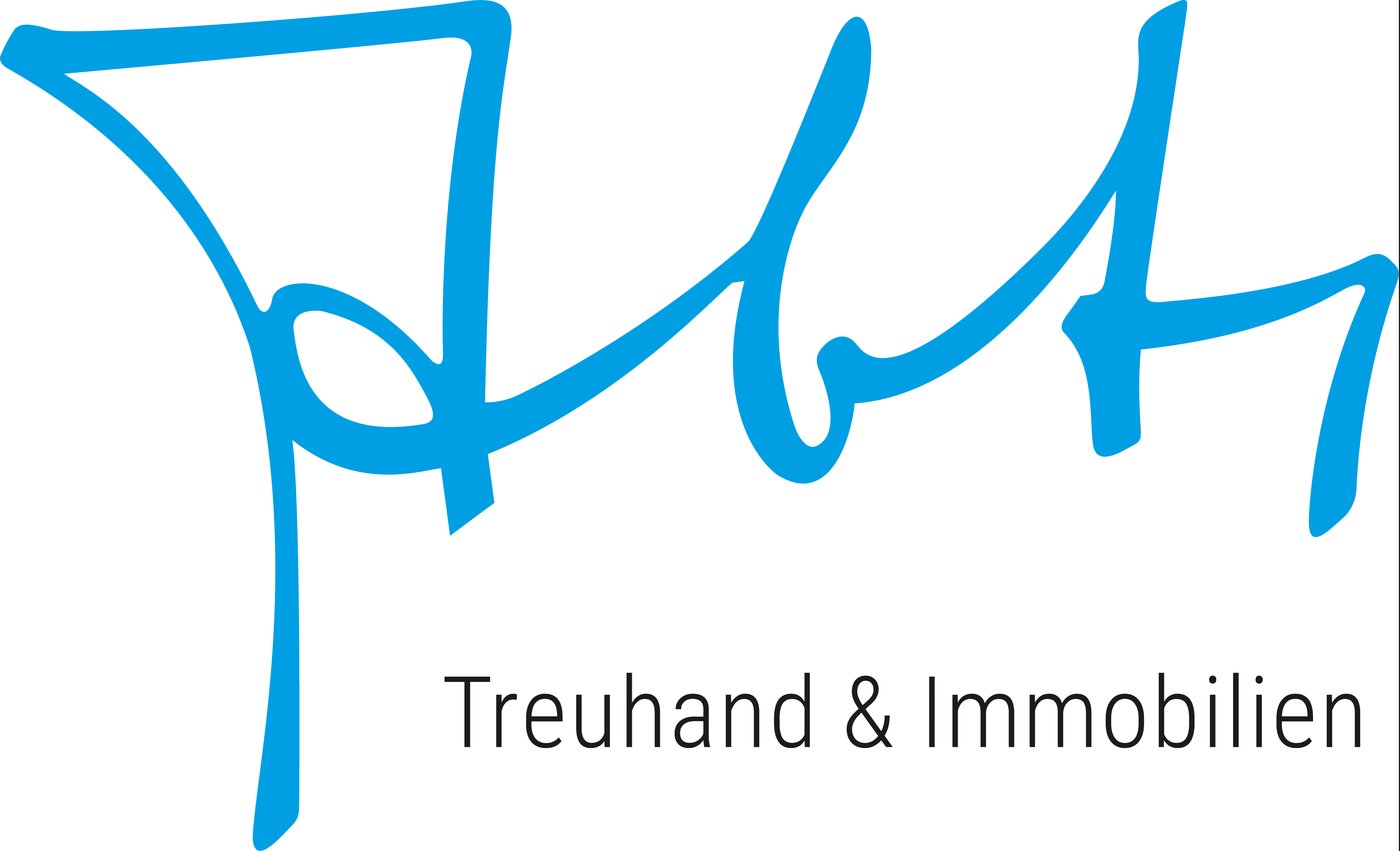 Treuhand & Immobilien Abt AG