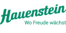 Hauenstein AG