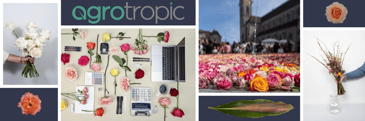 Arbeiten bei agrotropic AG