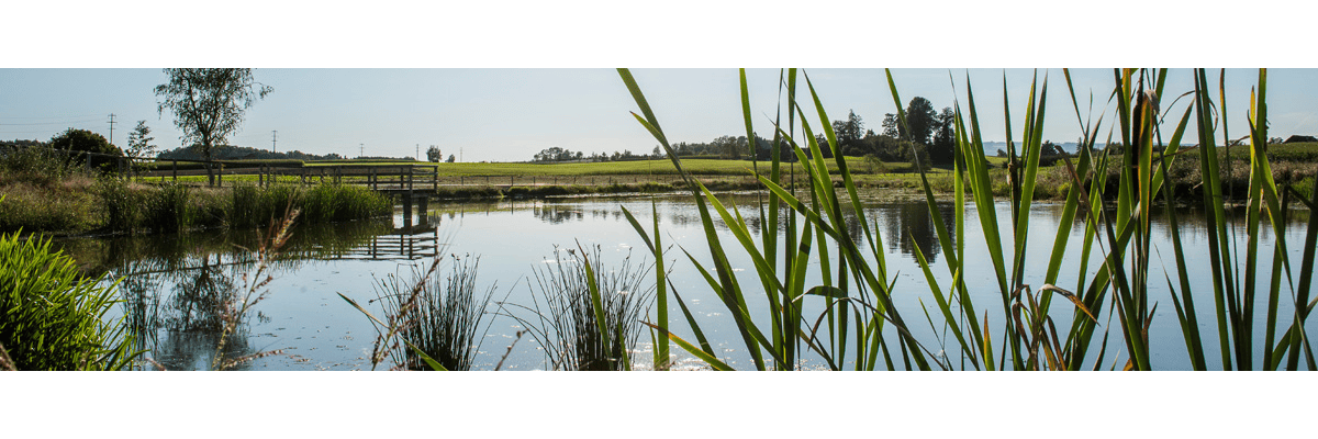 Work at Kantonale Verwaltung Zug