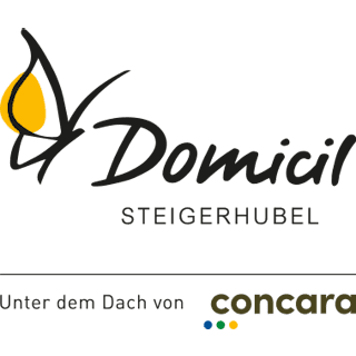 Domicil Steigerhubel