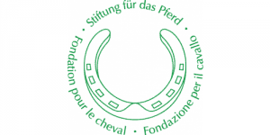 Fondation pour le cheval