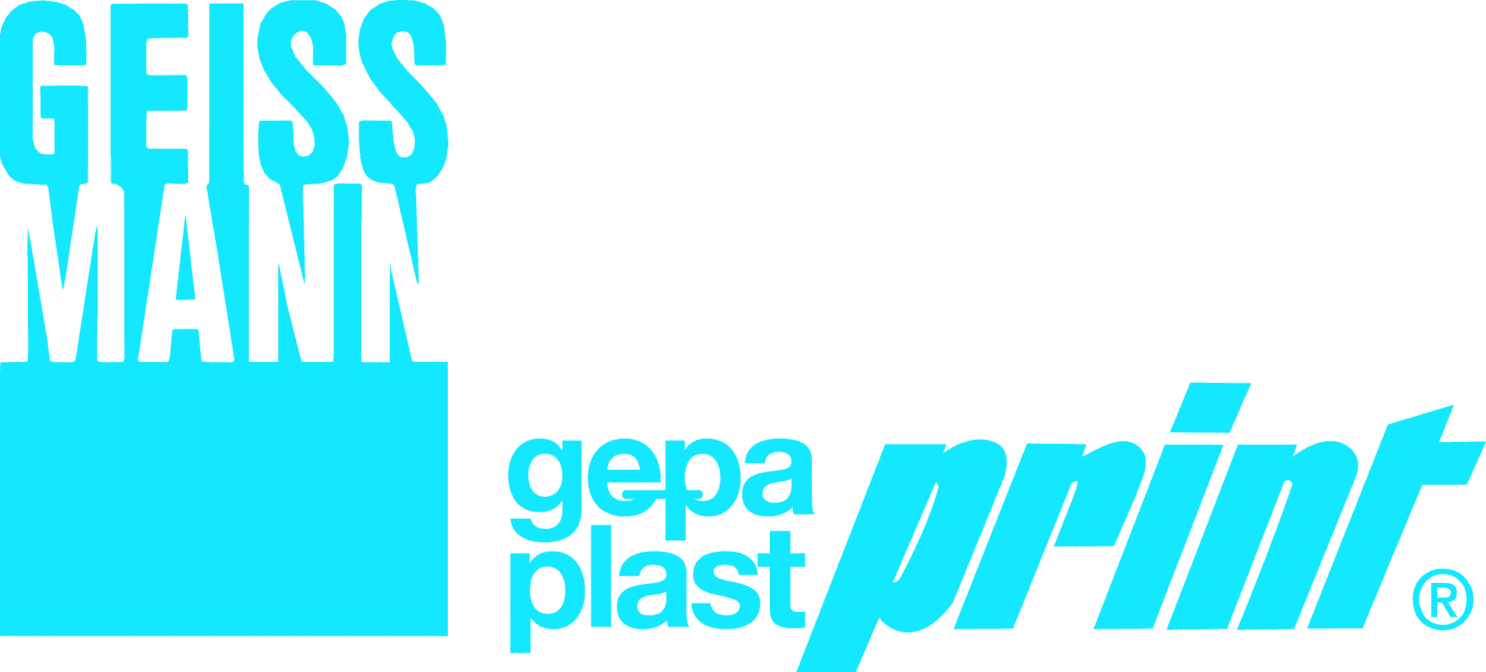 Geissmann Papier AG