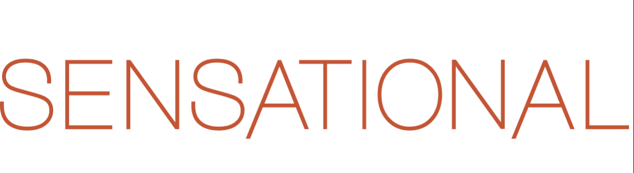 Technical Support Engineer