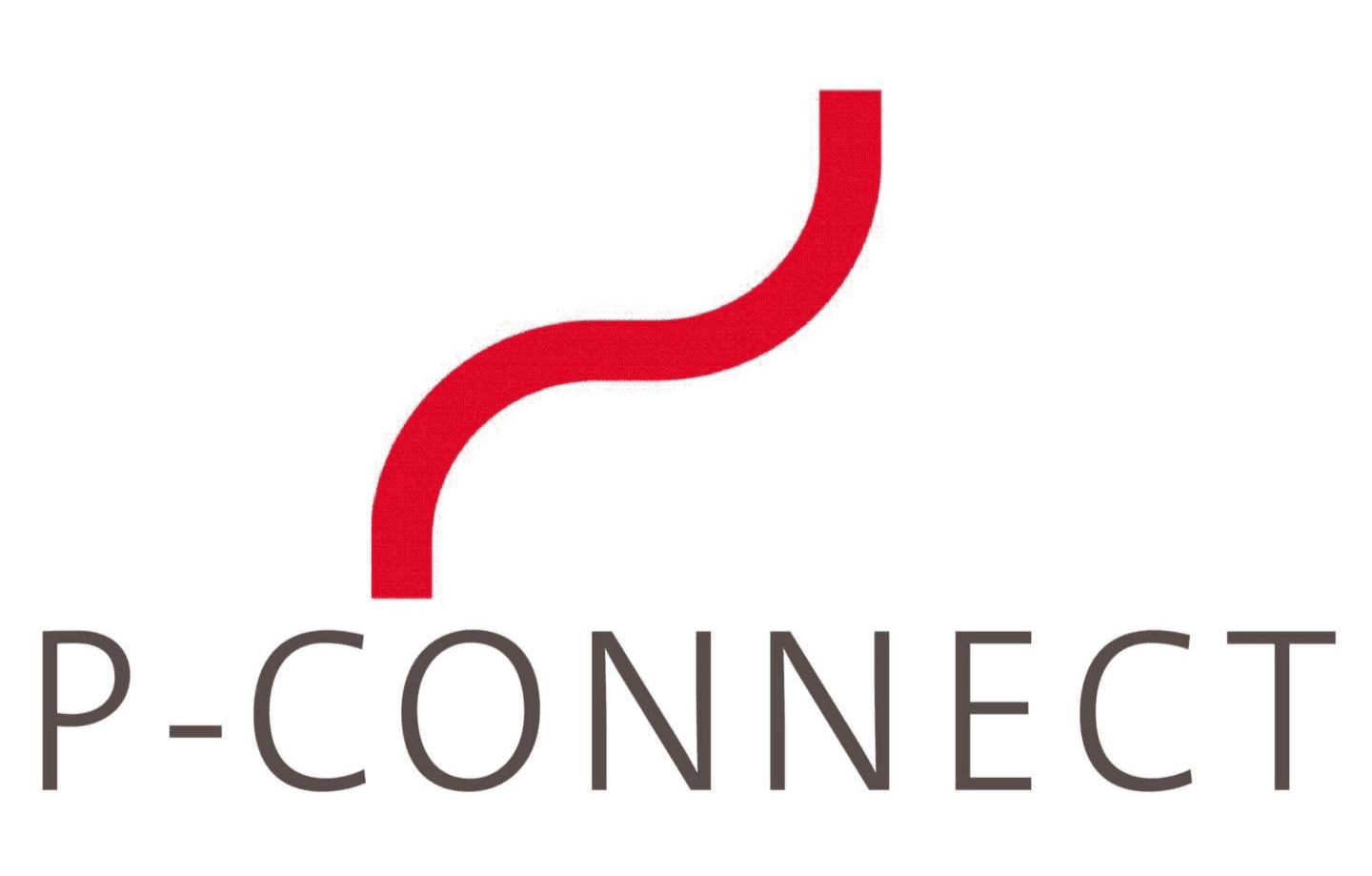 P-CONNECT - Executive Search & Outplacement