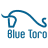 Blue Toro Bautenschutz AG