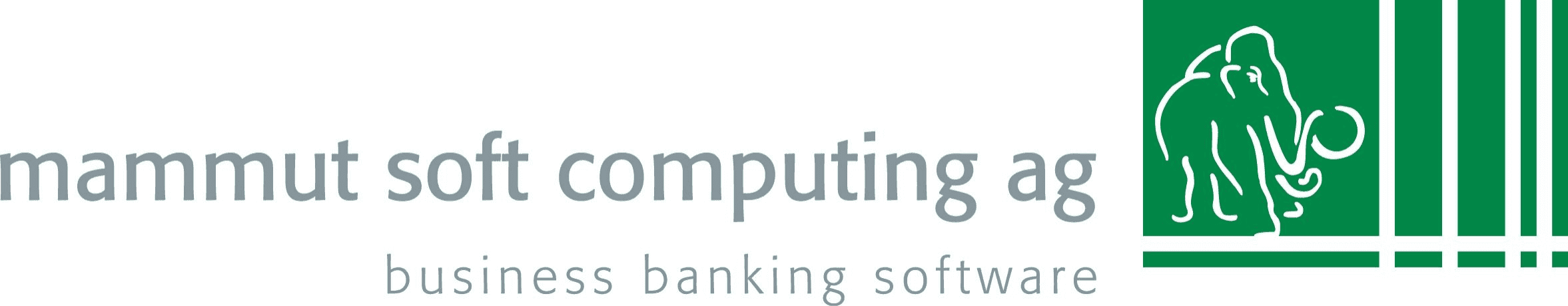 mammut soft computing ag