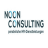 Noon Consulting GmbH