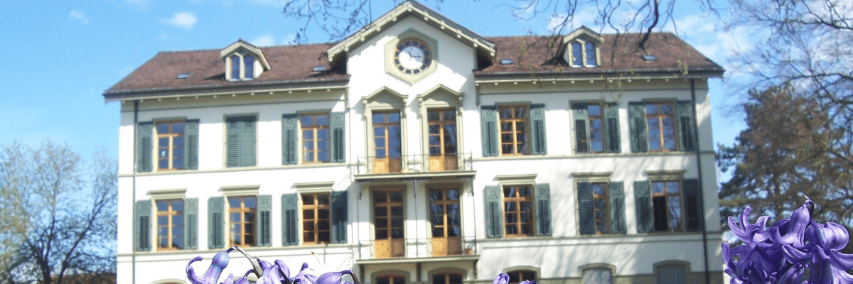 Work at Kommunität Diakonissenhaus Riehen