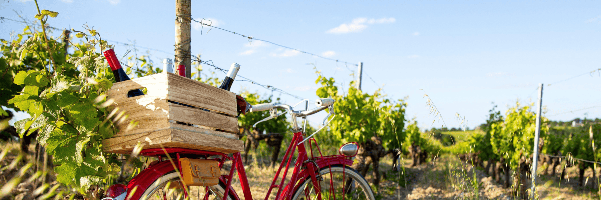 Travailler chez Weibel Weine AG