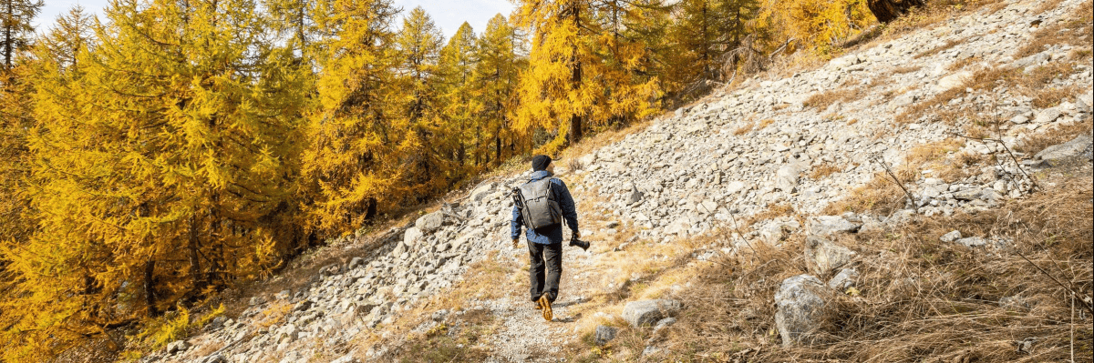 Linux Systems Engineer Jobs in Dietikon - 2 Stellenangebote auf JobScout24