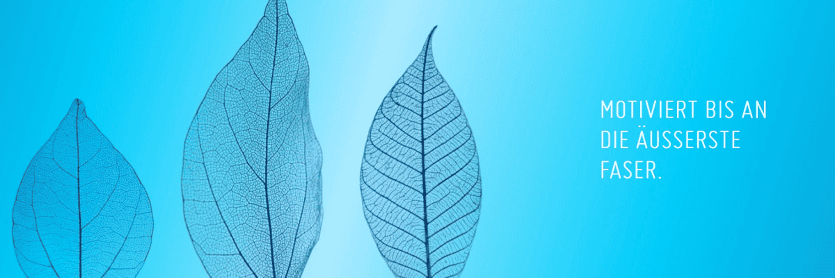 Travailler chez Beratungsgesellschaft für die zweite Säule, Aktiengesellschaft