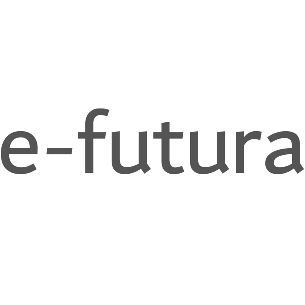 e-futura GmbH