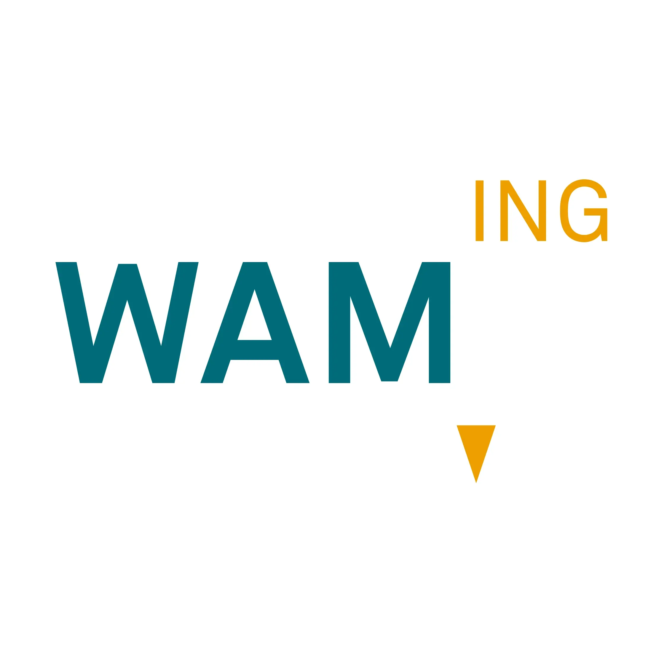 WAM Planer und Ingenieure AG