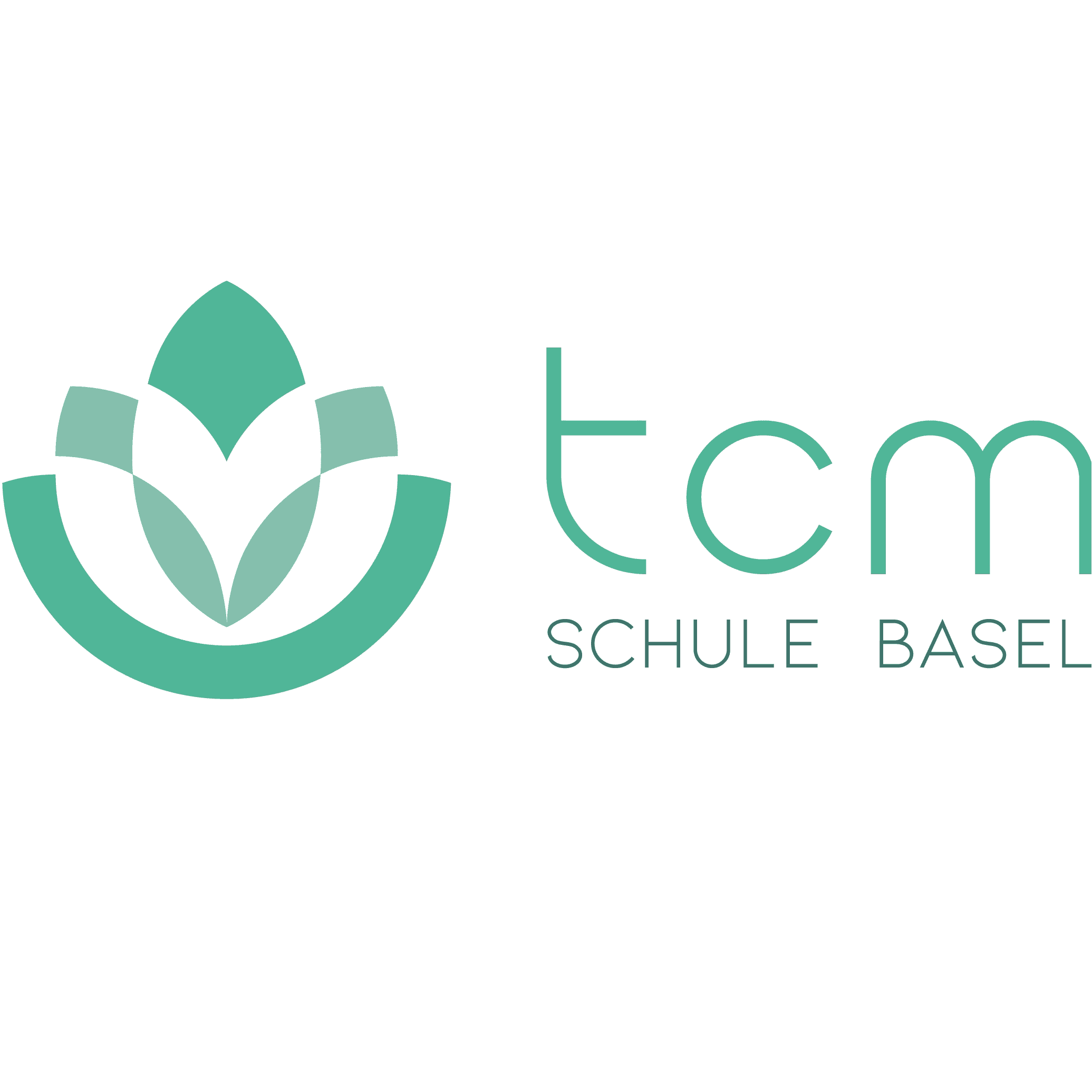 TCM Schule Basel - Nicolas Petit