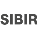 SIBIRGroup AG