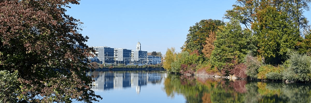 Arbeiten bei Stadt Dietikon