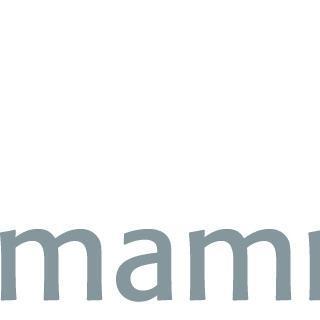 Mammut Soft Computing AG