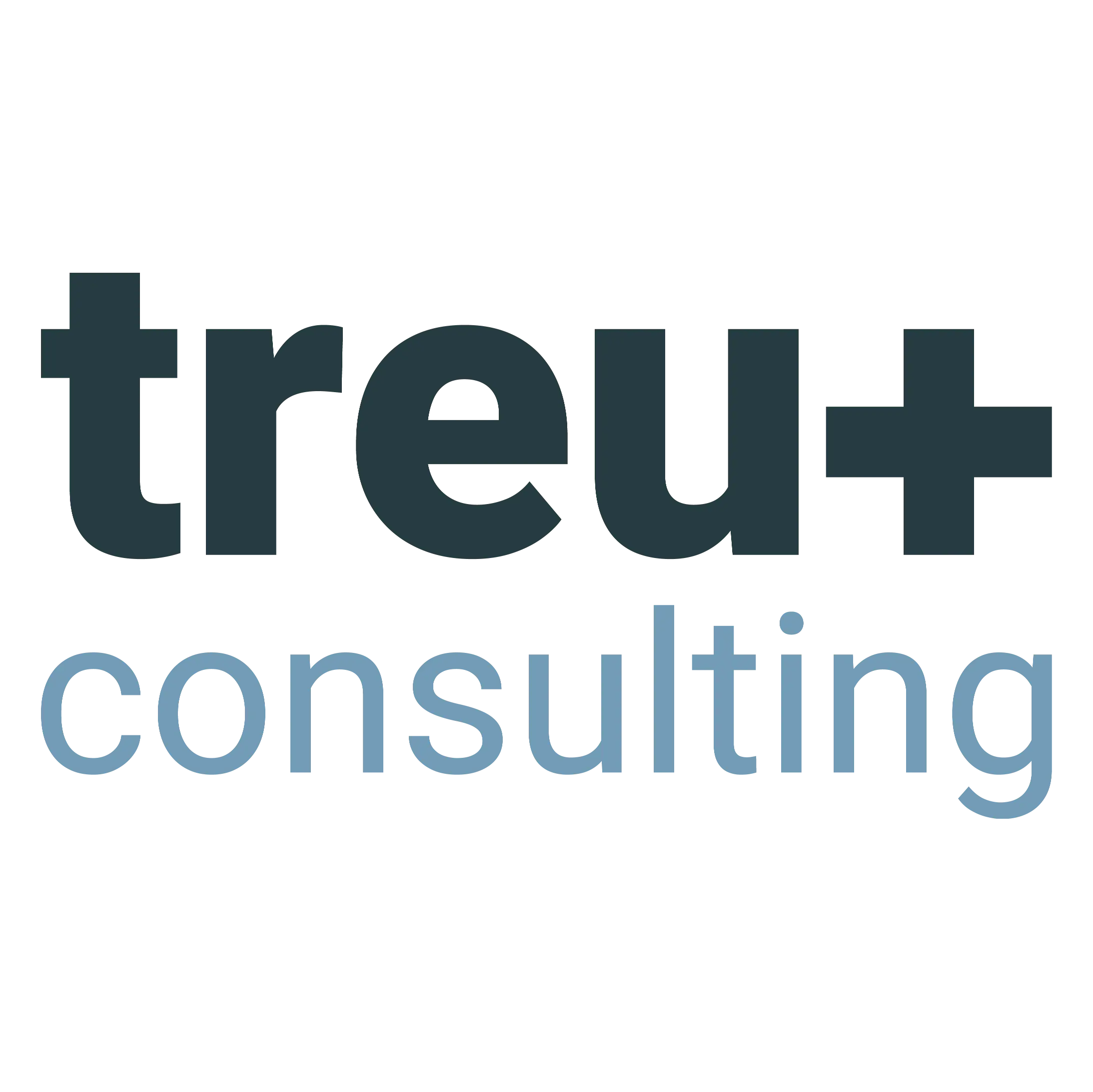 treuplus consulting gmbh