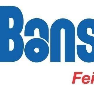 Bansbach Feinmechanik AG Swiss