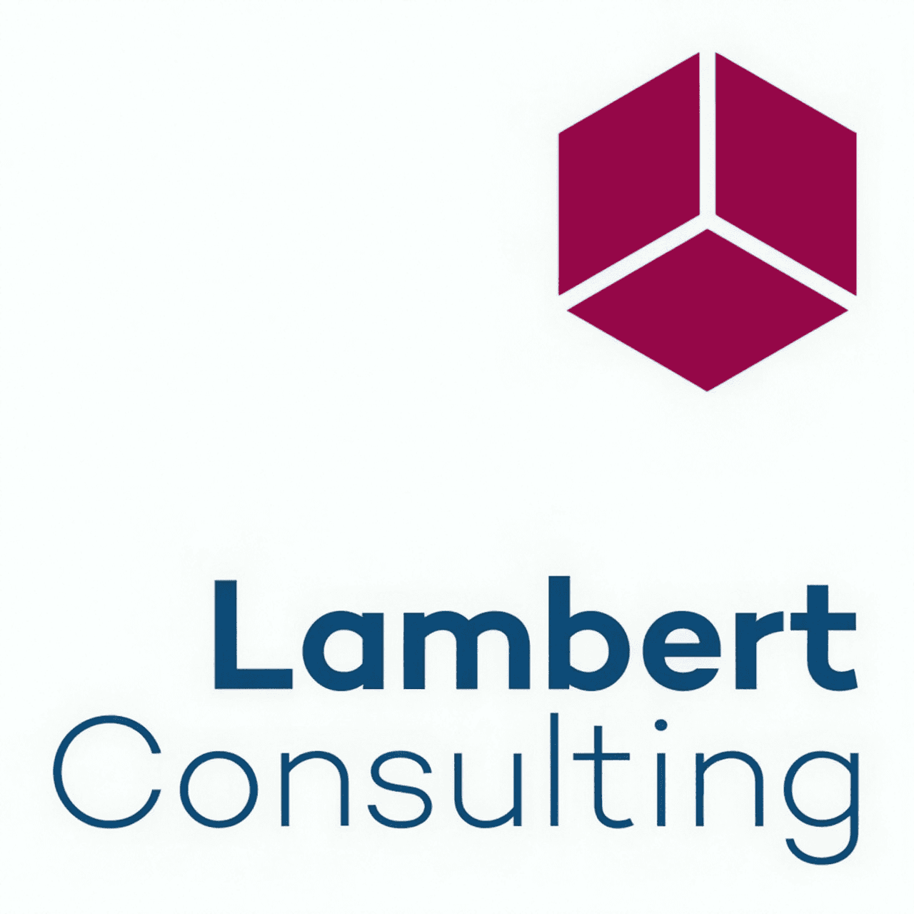 Portrait de l'entreprise LAMBERT CONSULTING SA sur jobup.ch