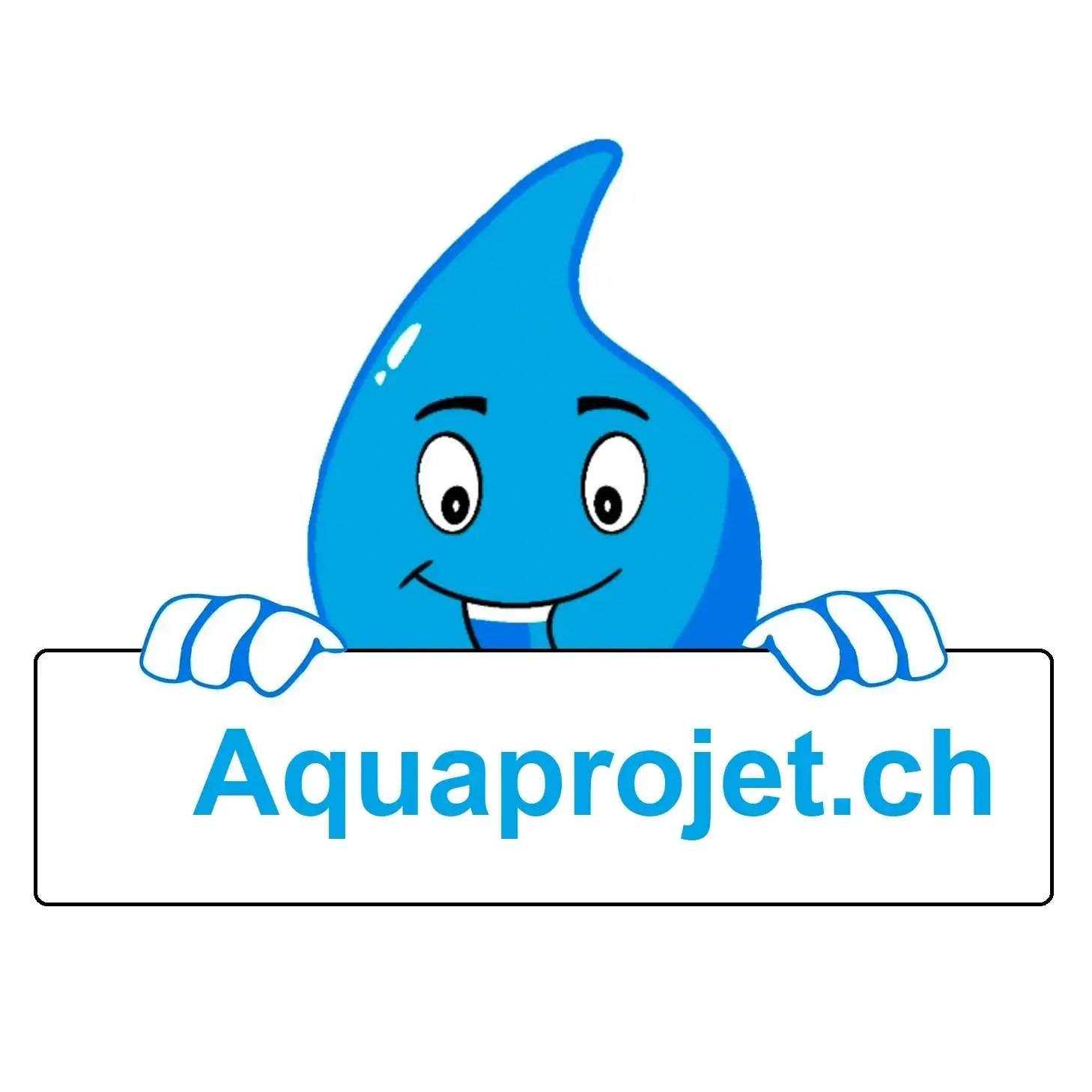 aquaprojet.ch, Domingues Silva Miguel conseils et services