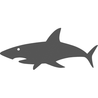 Produktmanager/in 80-100%