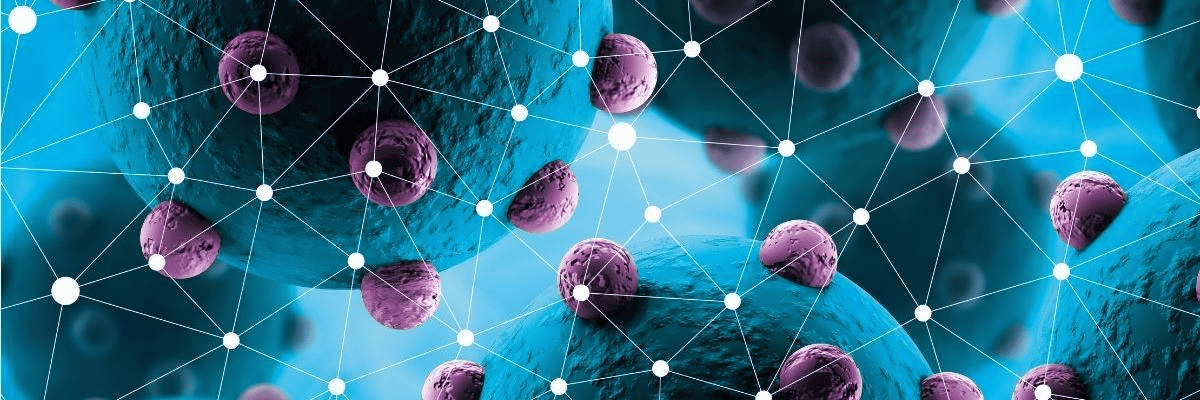 Work at AurigaVision AG