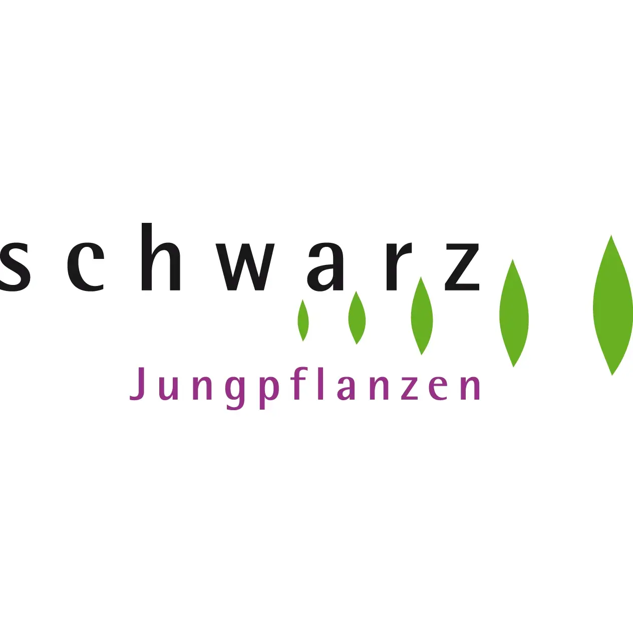 Max Schwarz AG