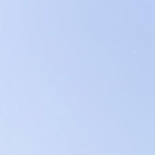 Prorektor: in Co-Leitung EFZ (90-100%) Mitglied der Schulleitung