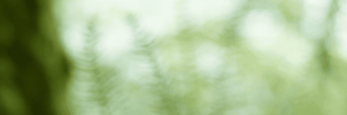 Work at Laverana International AG