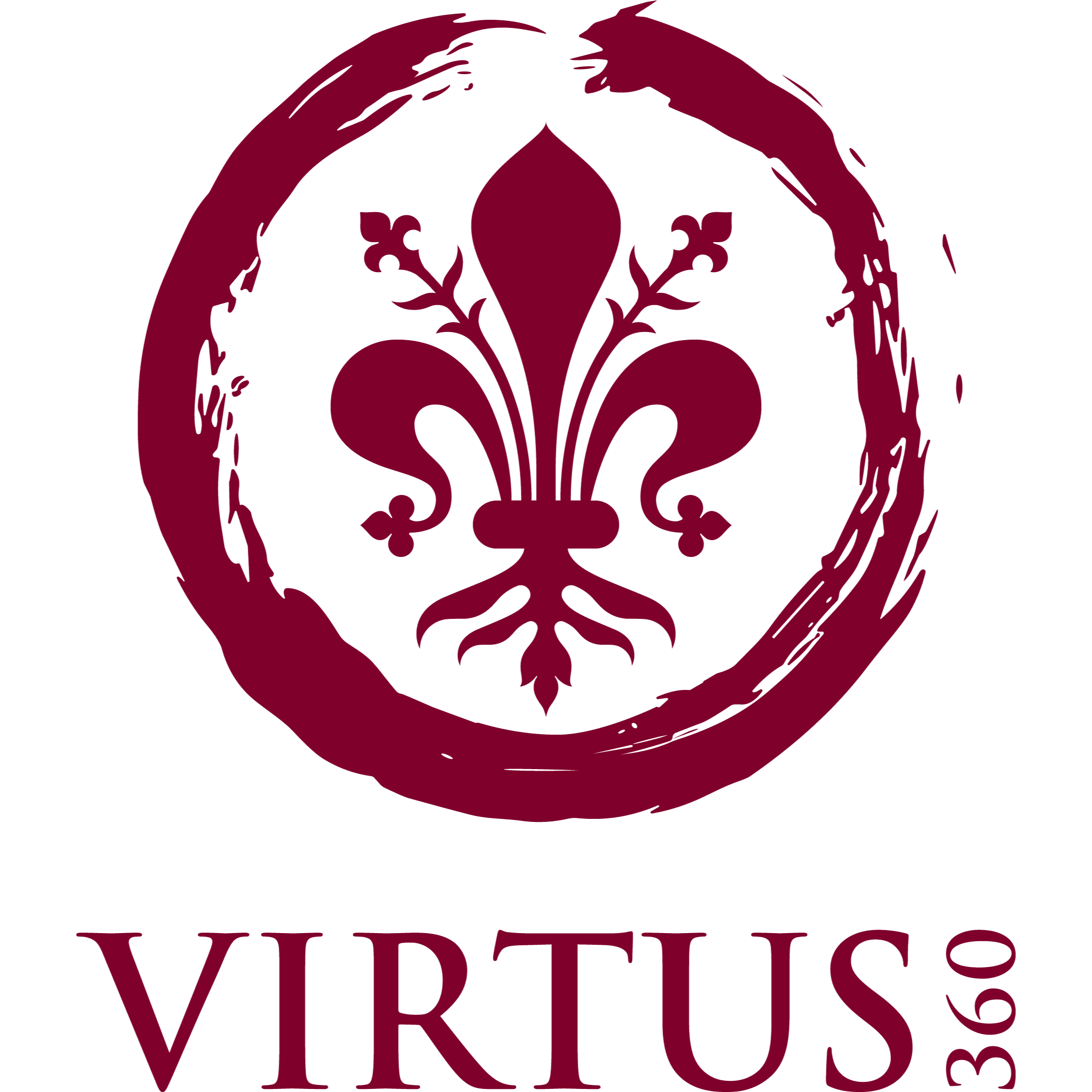 Virtus 360 GmbH Headerbild