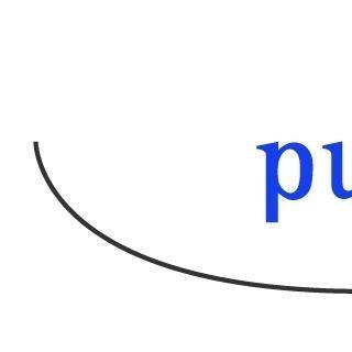 Logo Pumag Consulting AG