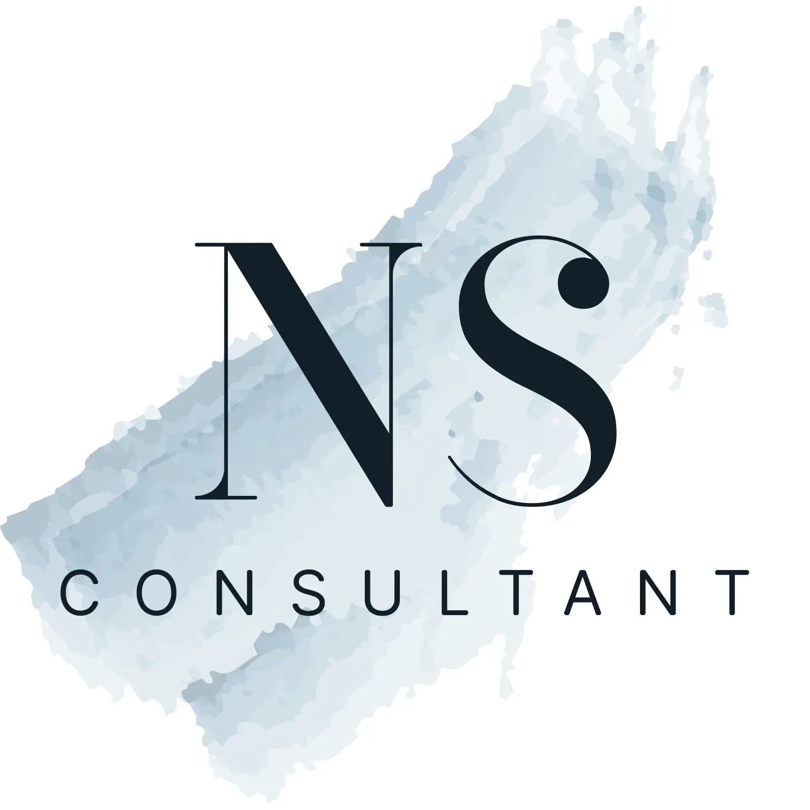 NS Consultant AG