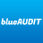 blueAUDIT GmbH