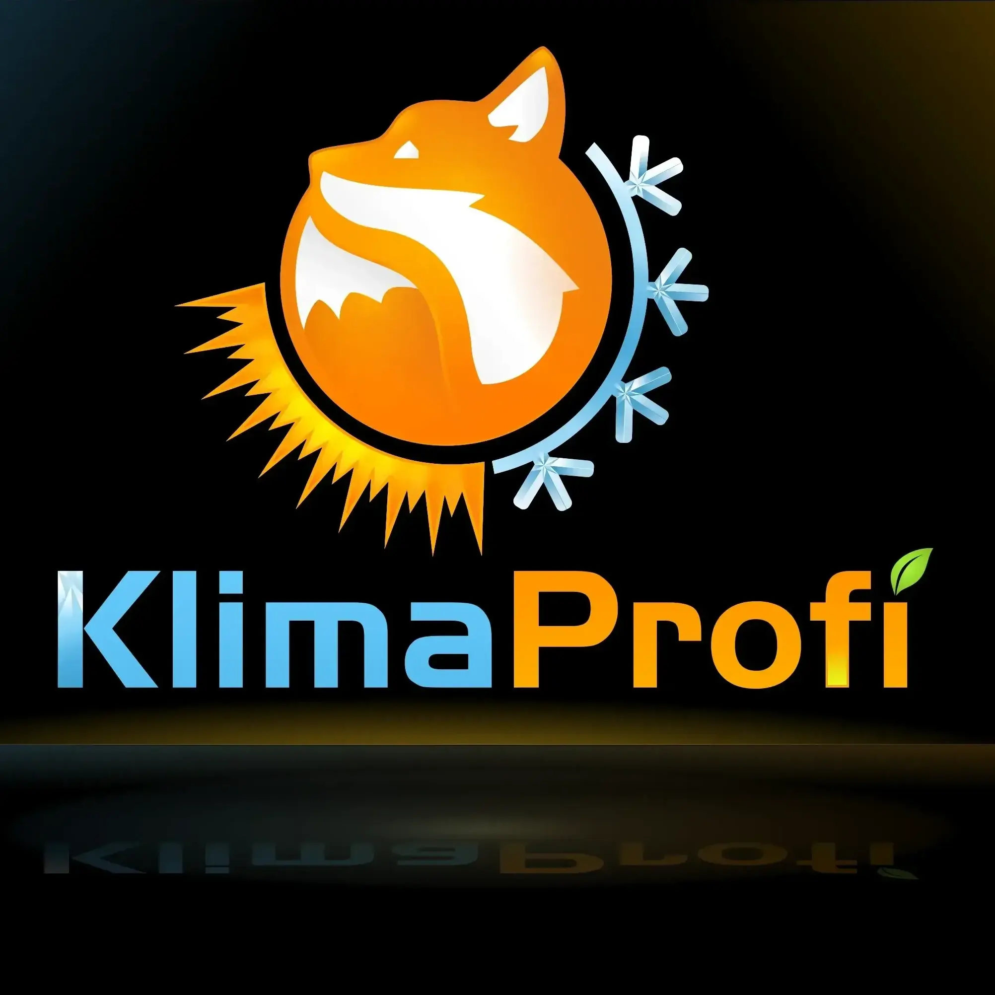 Klimaprofi GmbH