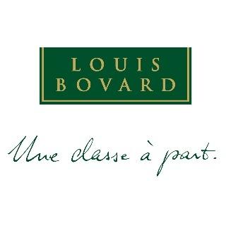 Logo Domaine Louis Bovard SA