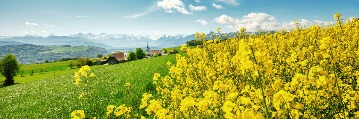 Arbeiten bei swiss granum