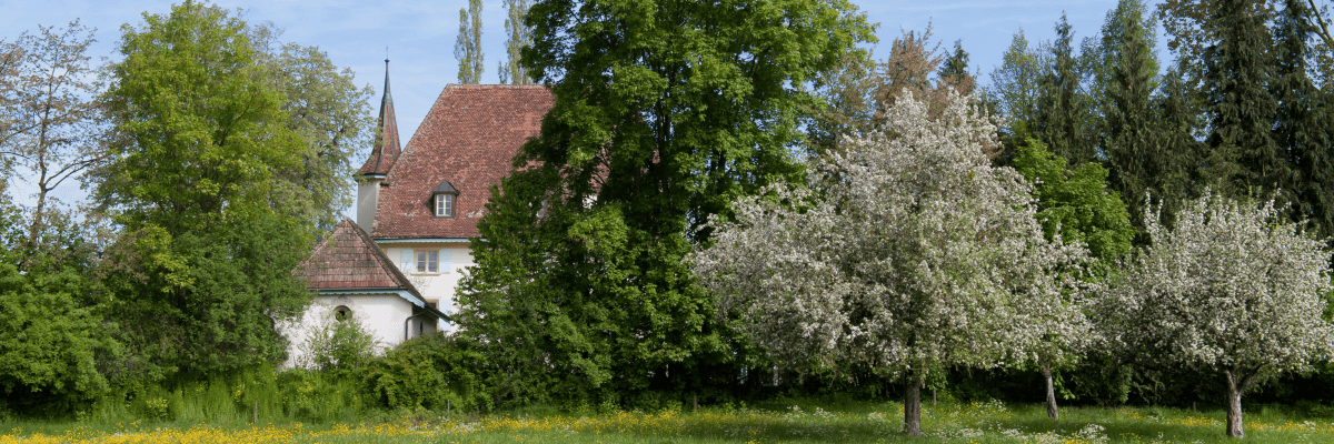 Work at Burkhalter gastromanagement ag bern