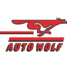 Auto Wolf AG